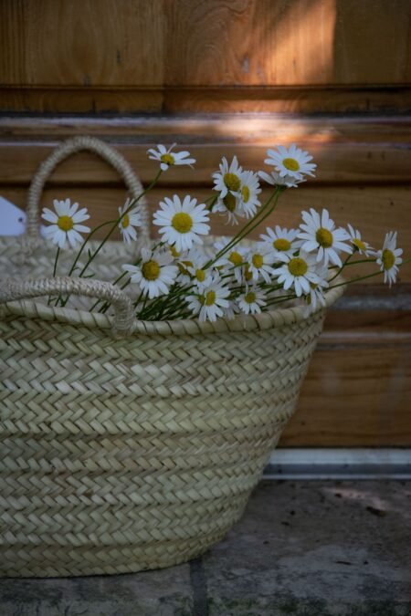 Panier en osier - Le moyen